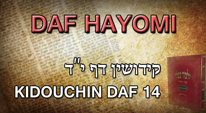 daf hayomi kidouchin 14