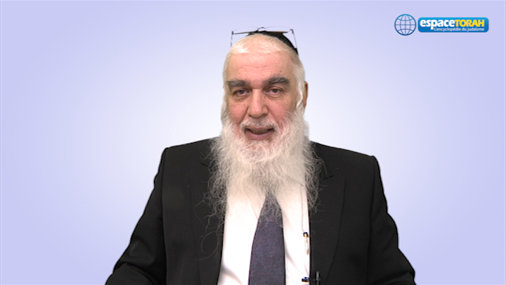 RAV MREJEN